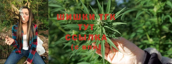 ПСИЛОЦИБИНОВЫЕ ГРИБЫ Белокуриха