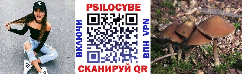 Галлюциногенные грибы Magic Shrooms  Нерчинск 